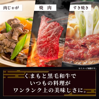 【訳あり】くまもと黒毛和牛(不揃い)1kg(多良木町)