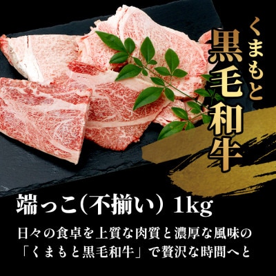 【訳あり】くまもと黒毛和牛(不揃い)1kg(多良木町)