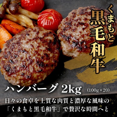 くまもと黒毛和牛 100% DREAMバーグ 20個(多良木町)