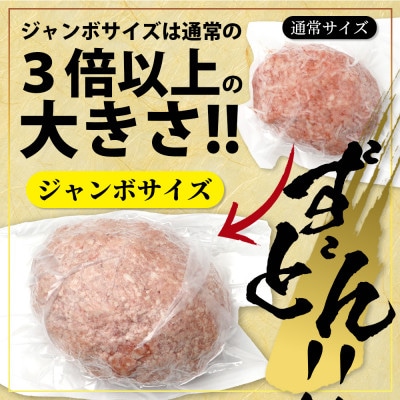【先行受付】期間限定増量!DREAMジャンボバーグ計1.5kg+DREAMバーグ300g(多良木町)