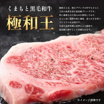 【先行受付】期間限定増量!くまもと黒毛和牛極和王サーロイン660g&黒毛和牛ミンチ300g 多良木町