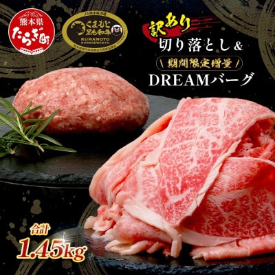 【先行受付】期間限定増量!くまもと黒毛和牛切り落とし1kg+DREAMバーグ3個(多良木町)