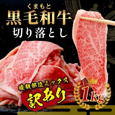 【先行受付】期間限定増量!くまもと黒毛和牛切り落とし1kg+DREAMバーグ3個(多良木町)