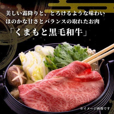 【先行受付】期間限定増量!くまもと黒毛和牛切り落とし1kg+DREAMバーグ3個(多良木町)