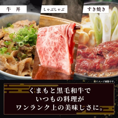 くまもと黒毛和牛 ローススライス 500g(多良木町)