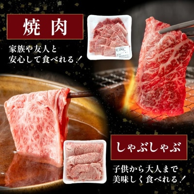 【先行受付】期間限定増量!くまもと黒毛和牛 ロースセット(焼肉/しゃぶしゃぶ)計1kg(多良木町)