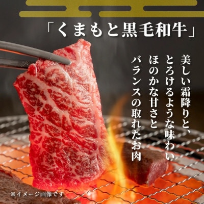 【先行受付】期間限定増量!くまもと黒毛和牛焼肉切り落とし600g+DREAMバーグ2個(多良木町)