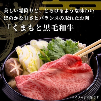 【毎月定期便】訳あり くまもと黒毛和牛 切り落とし1.2kg(400g×3パック)全3回