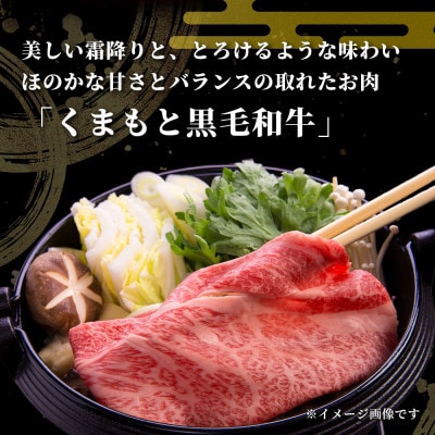 【毎月定期便】訳あり くまもと黒毛和牛 切り落とし1.2kg(400g×3パック)(多良木町)全6回