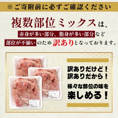 【毎月定期便】訳あり くまもと黒毛和牛 切り落とし1.2kg(400g×3パック)(多良木町)全6回