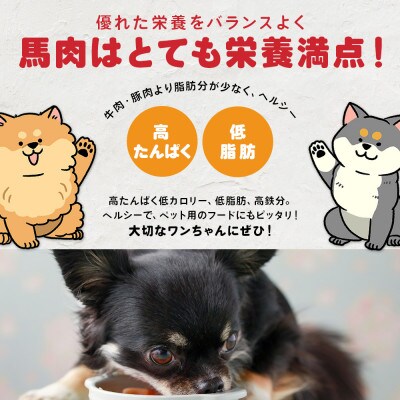 ペット用 馬肉切り落とし 1kg(多良木町)