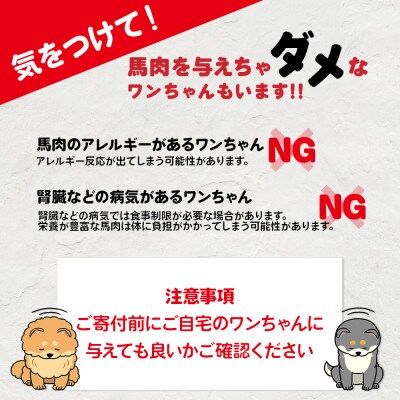 ペット用 馬肉切り落とし 1kg(多良木町)