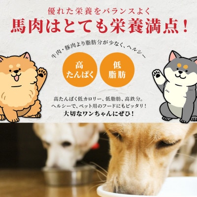 ペット用 馬刺しジャーキー 50g×2 100g(多良木町)