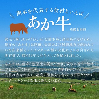 【毎月定期便】熊本県産あか牛 和牛100% オリジナルハンバーグ 150g×10個(多良木町)全3回