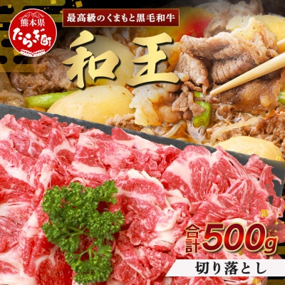 くまもと黒毛和牛(和王)切り落とし 500g(多良木町)