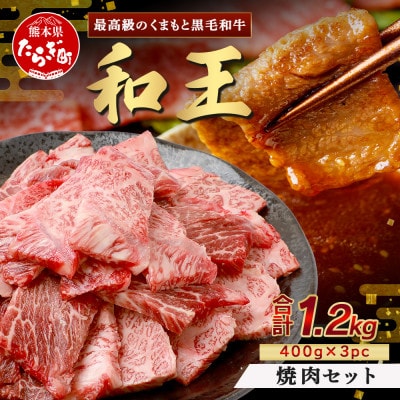 くまもと黒毛和牛(和王)焼肉セット1.2kg(400g×3)(多良木町)