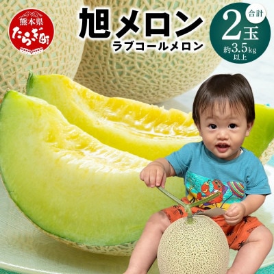 【先行予約】旭メロン(品種:ラブコールメロン)」2玉 (多良木町)