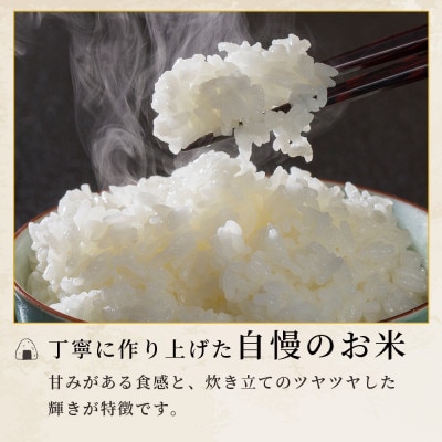 【令和7年産】ヒノヒカリ 10kg(多良木町)