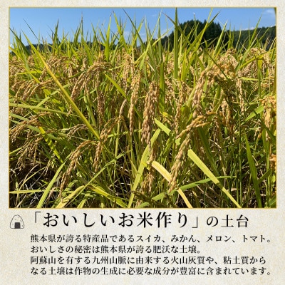 【令和7年産】人吉球磨のお米 ヒノヒカリ　無洗米　10kg(多良木町)