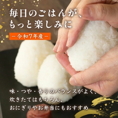 【令和7年産】森のくまさん 5kg(多良木町)