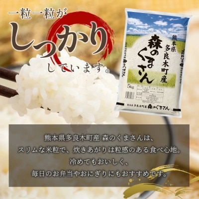 【令和7年産】森のくまさん 10kg(多良木町)