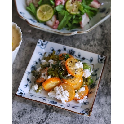 つる花唐草　4.5寸角皿4枚 【41APCD078】