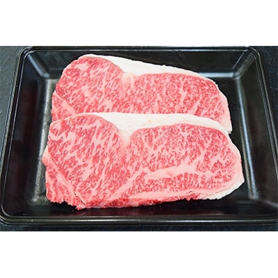 佐賀牛サーロインステーキ540g(270g×2枚)(A0608-C01)