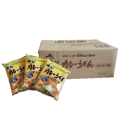 さがカレーうどん　2箱セット(A0156-B10)