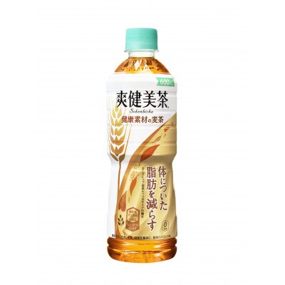爽健美茶健康素材の麦茶600mlペット×24本(A4512-A08)