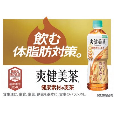 爽健美茶健康素材の麦茶600mlペット×24本(A4512-A08)