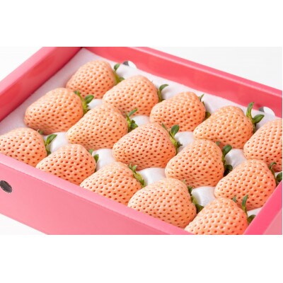 化粧箱入り白いちご「淡雪」約350g(A4601-A04)
