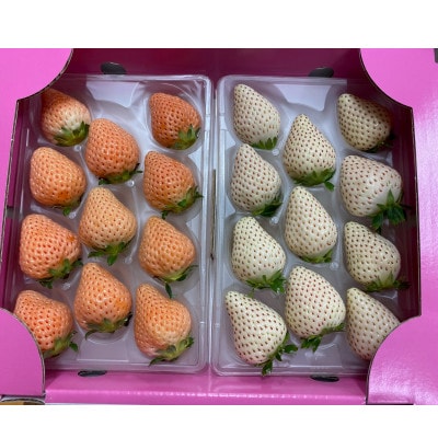 淡雪&こころの色 白セット 220g×2パック　