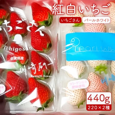 赤白「いちごさん」&「パールホワイト」セット各220g