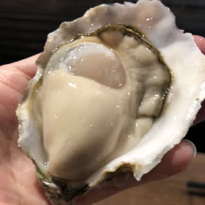 竹崎カキ 「ゆり姫(R)」3kg