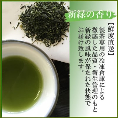 【数量限定】濃厚な味わいの玉露(100g)と高級嬉野茶(100g×2本)