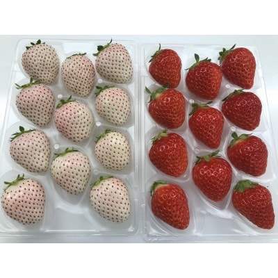 『さがほのか』と『パールホワイト』各220g×4パック (計880g)