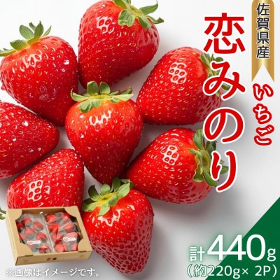 【農家直送】いちごに想いをのせて『恋みのり』220g×2(佐賀県)【41ASBK001】
