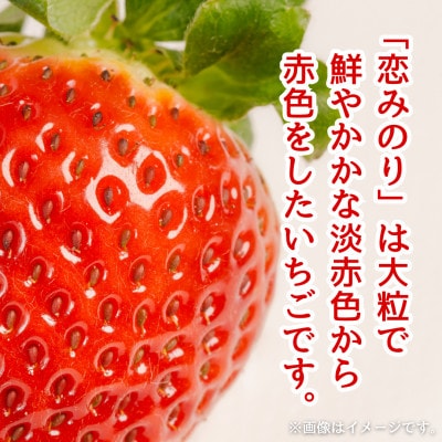 【農家直送】いちごに想いをのせて『恋みのり』220g×2(佐賀県)【41ASBK001】
