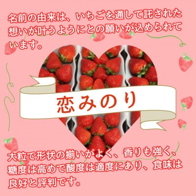 【農家直送】いちごに想いをのせて『恋みのり』220g×2(佐賀県)【41ASBK001】