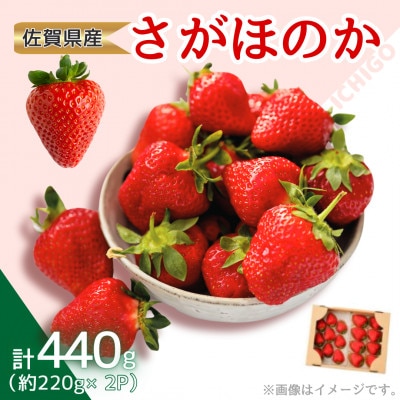 【農家直送】佐賀県産 さがほのか 220g×2パック(佐賀県)【41ASBK005】