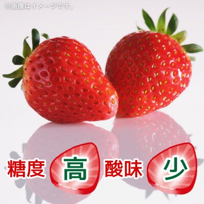 【農家直送】佐賀県産 さがほのか 220g×2パック(佐賀県)【41ASBK005】