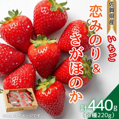 「恋みのり」と「さがほのか」 各220g 赤いちご詰め合わせセット(佐賀県)【41ASBK008】