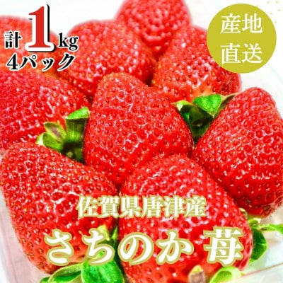 【濃厚苺 さちのか】1kg 山の斜面で十分な日光を浴びた苺!(佐賀県)
