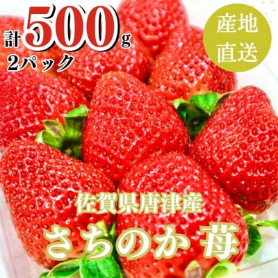 【濃厚苺 さちのか】500g 山の斜面で十分な日光を浴びた苺!(佐賀県)