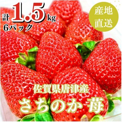【濃厚苺 さちのか】1.5kg 山の斜面で十分な日光を浴びた苺!(佐賀県)