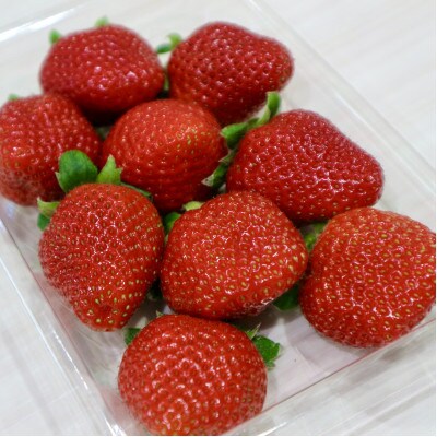 【濃厚苺 さちのか】3kg 山の斜面で十分な日光を浴びた苺!(佐賀県)