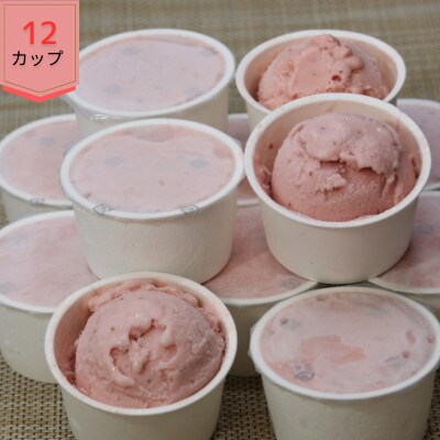 【ホテル仕様】業務用いちごジェラート 12個(佐賀県)