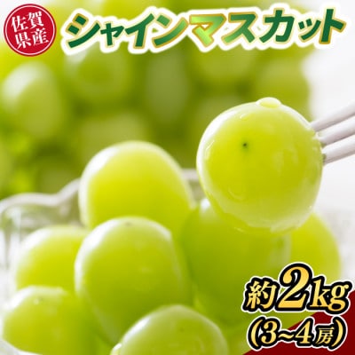 佐賀県産シャインマスカット(約2kg)