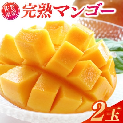 佐賀県産完熟マンゴー(2玉)