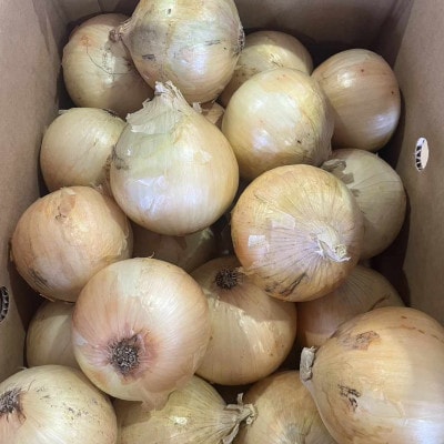 佐賀県産玉ねぎ 約10kg